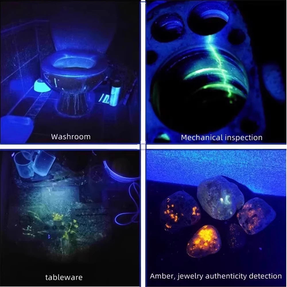 UV Flashlight Blacklight, 365nm Ultraviolet Black Light LED Flashlight for Detection Dog or Cat Stains, Bed Bugs UV LED